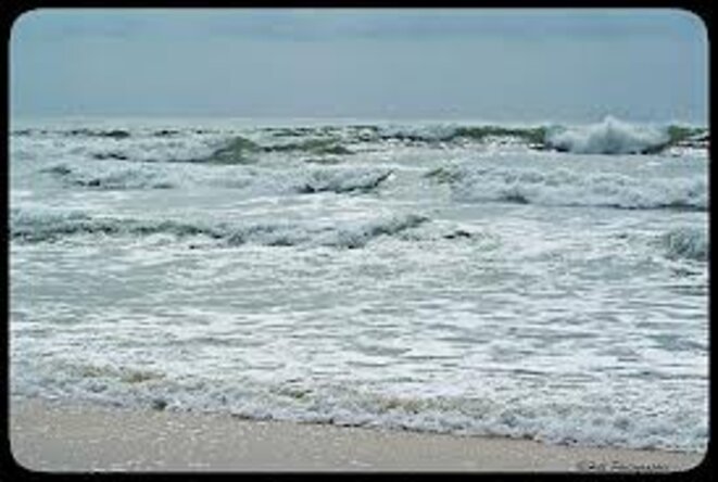 L'enfant de la tondue